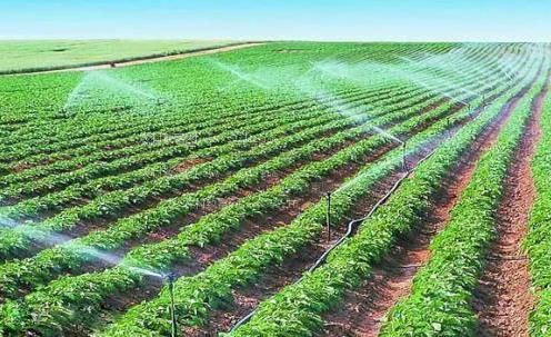 想被黑人大鸡巴塞满农田高 效节水灌溉